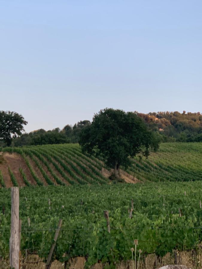 Podere le Mulina Castiglione dʼOrcia Exterior foto